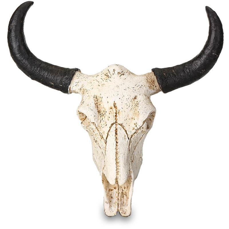 Dekoration Buffalo Kranium