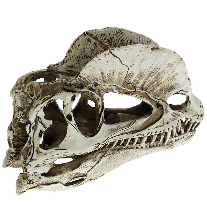 Dilophosaurus Dekoration